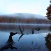 An autumn mountain lake in West Virginia