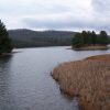 Lake Sherwood in the Monongahela National Forest, West Virginia
