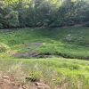 Trout Pond, the only natural lake in West Virginia