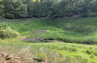 Trout Pond, the only natural lake in West Virginia